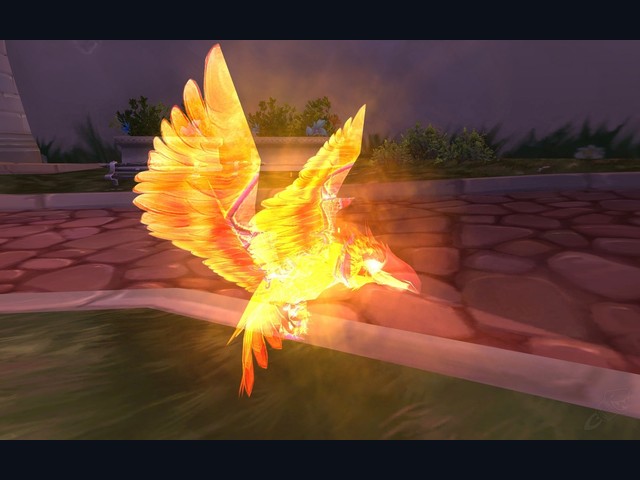 Phoenix Hatchling
