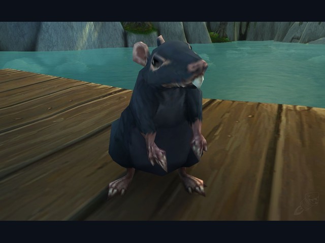 Giant Sewer Rat