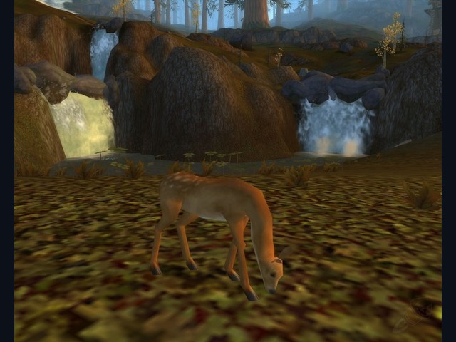 Little Fawn